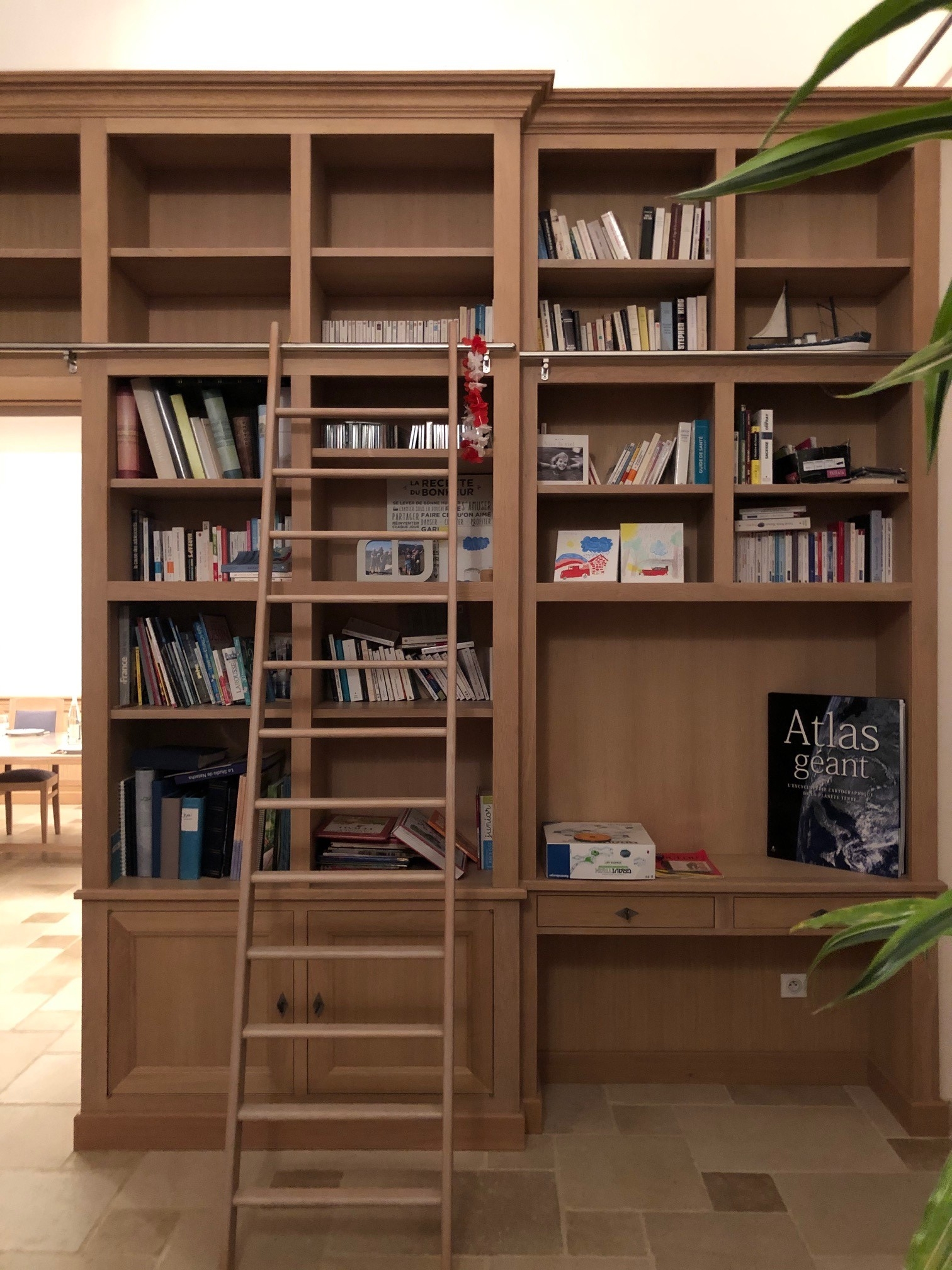 Bibliothèque et son échelle